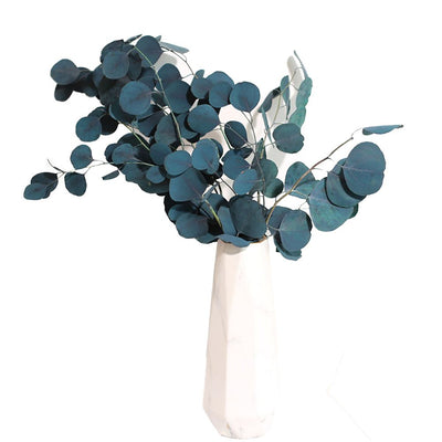 Eucalyptus Dried Flowers Eternal Durability Dried Flowers Bouquet Decoration Home Living Room Decor