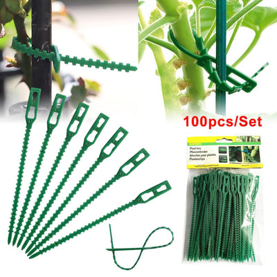 100PCS Tree Ties Adjustable Plant Ties Garden Ties Flexible Plant Cable Ties for Supporting Rose Shrub Plants