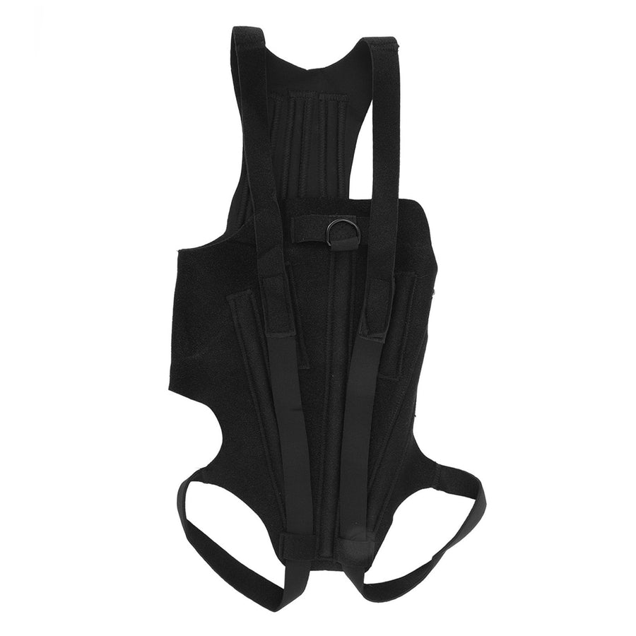 Dog Back Bracer Polyester Strong Rigidity Flexible Back Supporting Vest for Walking L