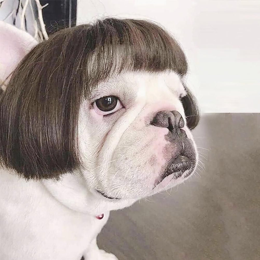 Dog Wig Pet Costumes Pet Headwear Hair Costumes for Festival Cosplay Party