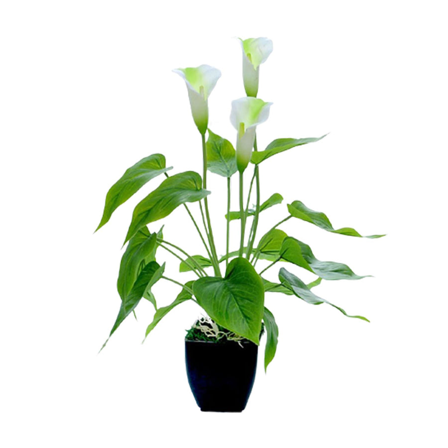 Artificial Flower Living Room Decorative Flowers Plastic Flowers Simulation Potted Plant Ornaments Fake Flower