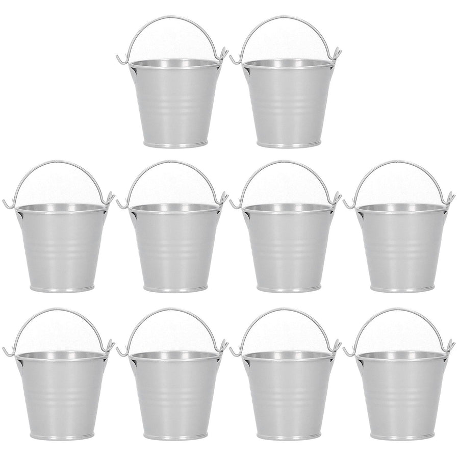 10PCS Flower Pot Mini Succulent Plant Pot Small Metal Bucket for Indoor Outdoor DecorSilver 4x5.5x6cm