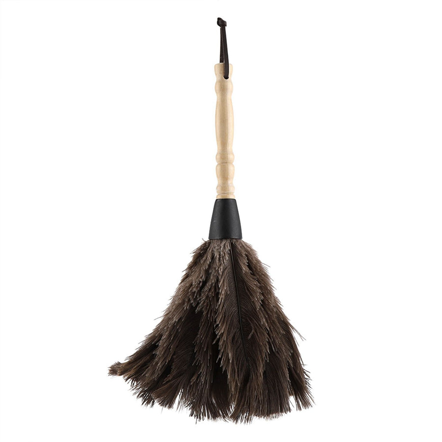 Mini Washable Reusable Ostrich Feather Duster for Books Keyboard Office Home