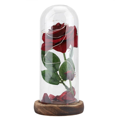 Preserved Rose Flower LED Light with Glass Cover Wooden Base Valentines'Day Wedding Gift
Red