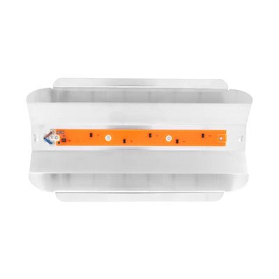 220V 50W Indoor Plants COB LED Growing Light Full Spectrum Plant Grow Lamp