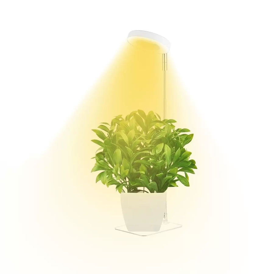 Full Spectrum LED Plant Grow Light with Telescopic Stand, Angel Ring Design, Dimmable Timer & Multi-Mode for Indoor Potted Plants, Succulents, and Home Desktop Decor (2PCS, Warm White Light (White+Clear Base))
