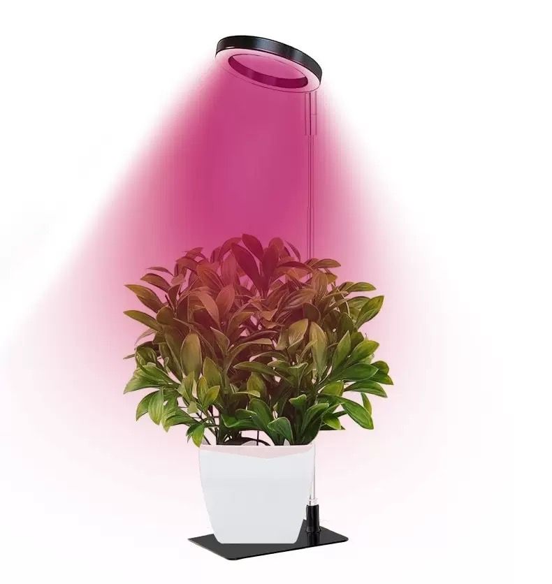 Full Spectrum LED Plant Grow Light with Telescopic Stand, Angel Ring Design, Dimmable Timer & Multi-Mode for Indoor Potted Plants, Succulents, and Home Desktop Decor (2PCS, Red Blue Light（Black+Black Base）)