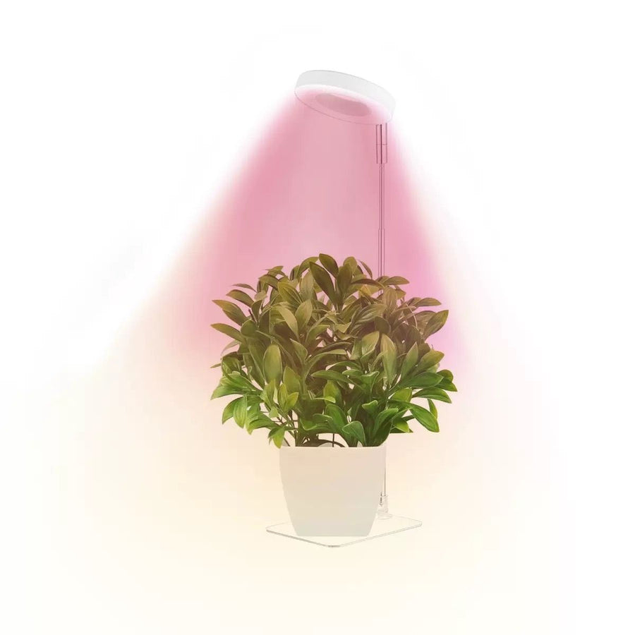 Full Spectrum LED Plant Grow Light with Telescopic Stand, Angel Ring Design, Dimmable Timer & Multi-Mode for Indoor Potted Plants, Succulents, and Home Desktop Decor (2PCS, Red Blue Warm Light （White+Clear Base）)