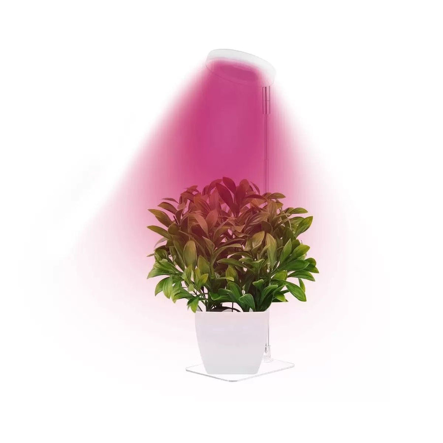 Full Spectrum LED Plant Grow Light with Telescopic Stand, Angel Ring Design, Dimmable Timer & Multi-Mode for Indoor Potted Plants, Succulents, and Home Desktop Decor (3PCS, Red Blue Light（White+Clear Base）)