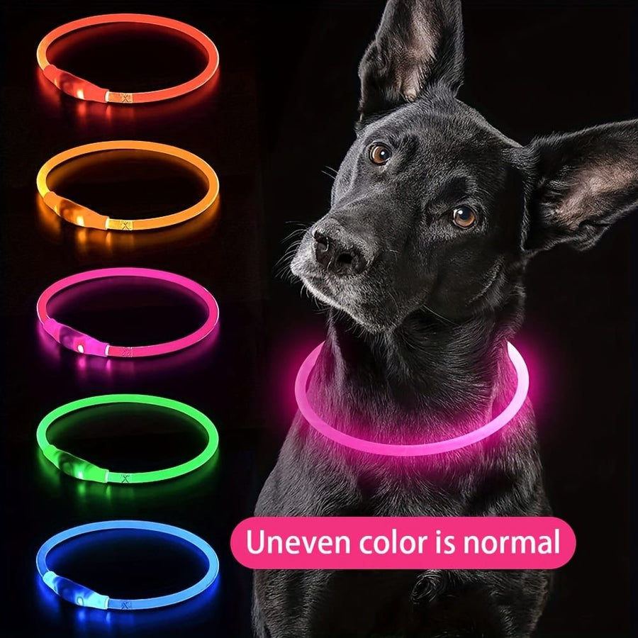 USB Rechargeable LED Glow Pet Collar, Soft Silicone Night Safety Dog & Cat Collar with 6 Colors, 3 Modes, Adjustable Length for Small, Medium, Large Pets, Ideal for Evening Walks and Outdoor Visibility (S, Purple)