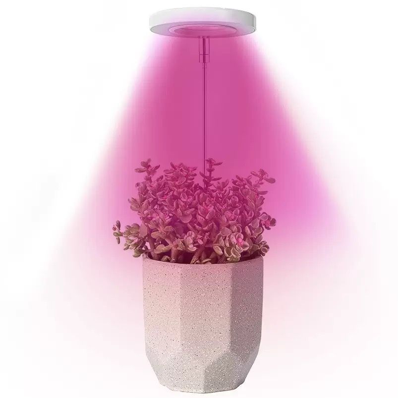 Angel Halo Ring LED Plant Grow Light, Full Spectrum Warm White & Red Blue for Succulents, Flowers, Adjustable Height and Angle, USB Powered Stake Lamp for Indoor Potted Plants (2PCS, Red Blue Light (White))