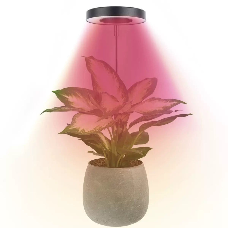 Angel Halo Ring LED Plant Grow Light, Full Spectrum Warm White & Red Blue for Succulents, Flowers, Adjustable Height and Angle, USB Powered Stake Lamp for Indoor Potted Plants (2PCS, Red Blue Warm Light  (Black))