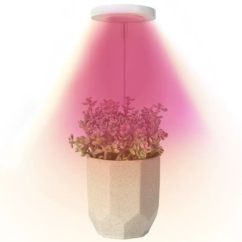Angel Halo Ring LED Plant Grow Light, Full Spectrum Warm White & Red Blue for Succulents, Flowers, Adjustable Height and Angle, USB Powered Stake Lamp for Indoor Potted Plants (3PCS, Red Blue Warm Light  (White))