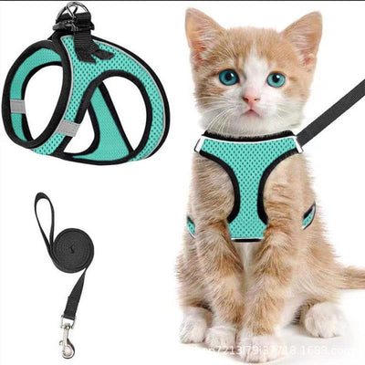 Escape-Proof Cat Harness and Leash Set with Reflective Soft Mesh Vest for Safe Outdoor Adventures with Your Feline Friend (M, Mint)