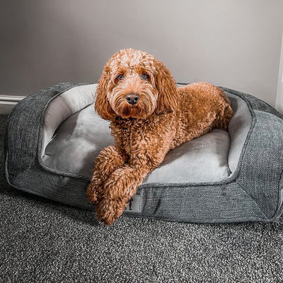 Plush Orthopedic Pet Sofa Bed with Bolstered Edges – Ultra-Soft Sponge Filled Luxury Dog and Cat Couch, Waterproof Inner Liner & Removable Washable Cover for Medium-Sized Pets Up to 35kg (Grey)