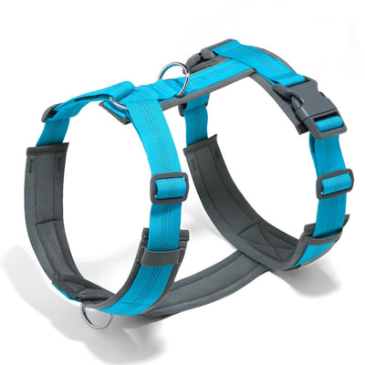 Pet No Pull Dog Harness, Adjustable Nylon Harness with Soft Padding, Reflective and Heavy Duty Dog Harness for Small, Medium, Large Dogs(light blue, L)