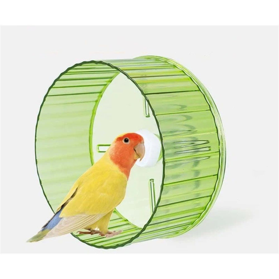 21cm  Parrot Silent Running Wheel, Parrot Exercise Wheel, Birds, Parrots, Turtles, Hamsters, Small Animal Quiet Running Wheel (Green)