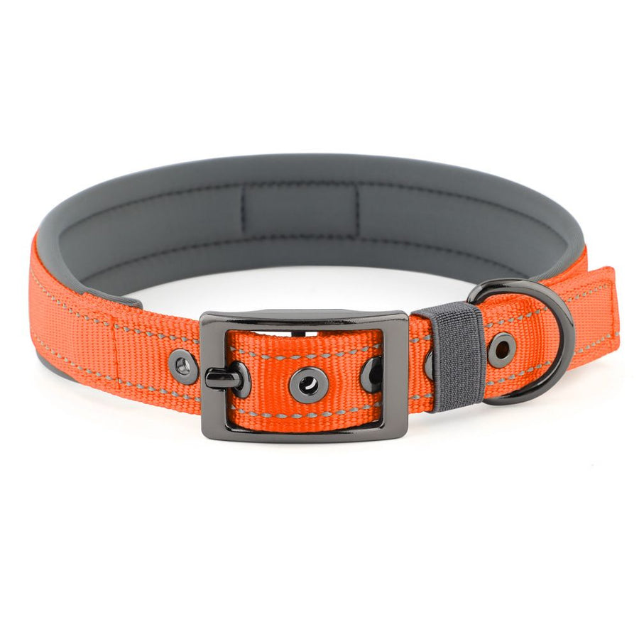 Pet  Dog Collar, Reflective, Adjustable Heavy Duty Dog Collar, Soft Padded and Comfortable, for Small Medium and Large Dogs (Orange, M)