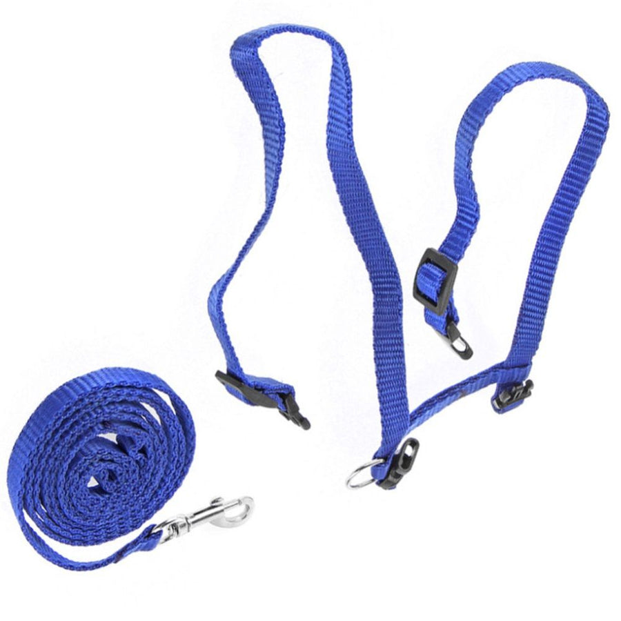 1 Pack Cat Harness and Leash | Adjustable Halter Harness with  Strap, Safety Rope Leads for Kittens | Comfortable Escape-Proof Design(Blue)