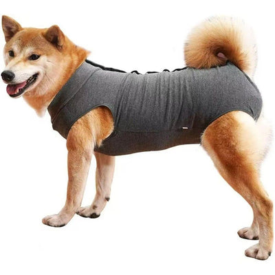 Dog Recovery Suit Abdominal Wound Puppy Surgical Clothes Post-Operative Vest Pet After Surgery Wear Substitute E-Collar & Cone (L, Grey)