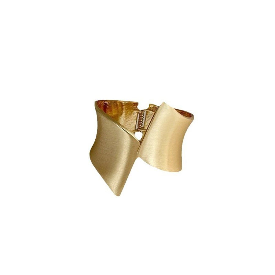 2 Pack Decorative Gold Metal Curtain Tie Backs Window Drapery Wire Drawing Spring Clip Holdbacks for Home Office