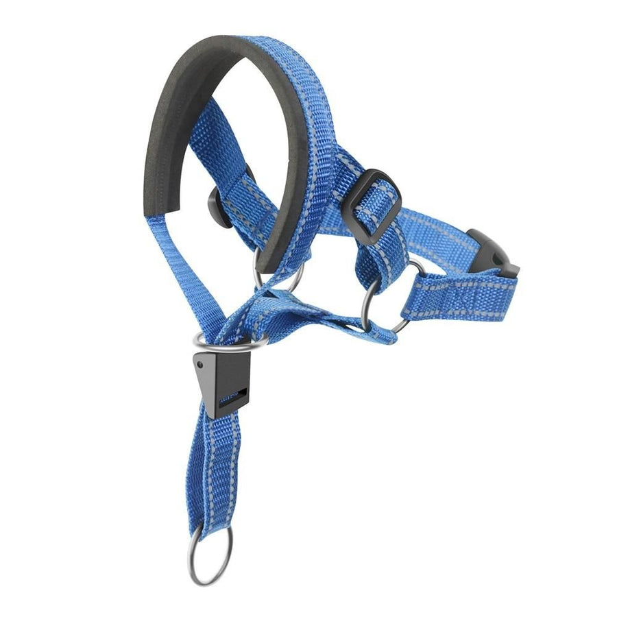 BARKLESS Sturdy No Pull Head Collar for Medium Dogs, Gentle Reflective Head Halter with Safety Link, Adjustable Dog Training Muzzle Leash for Walking Control (Blue, M)