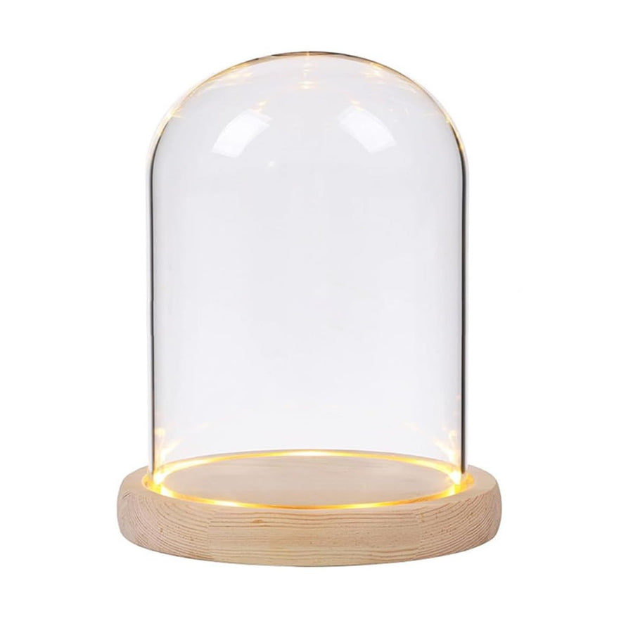 Glass niche dome with wooden LED lamp base, transparent display dome, countertop glass niche display cabinet, small statue, souvenir, plant, ideal gift（12*22cm）