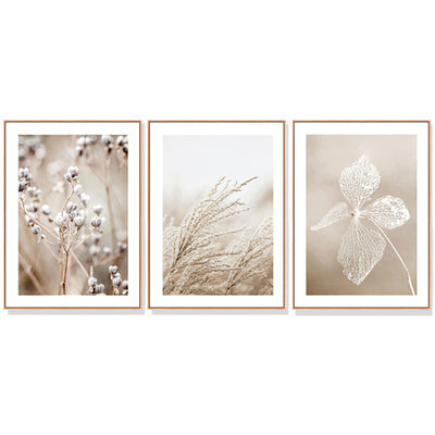 NNEDSZ Wall Art 40cmx60cm Dried Flower 3 Sets Wood Frame Canvas-0