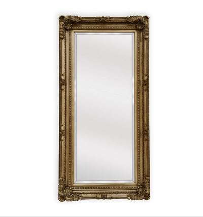 NNEDSZ French Provincial Ornate Mirror - Antique Champagne-0